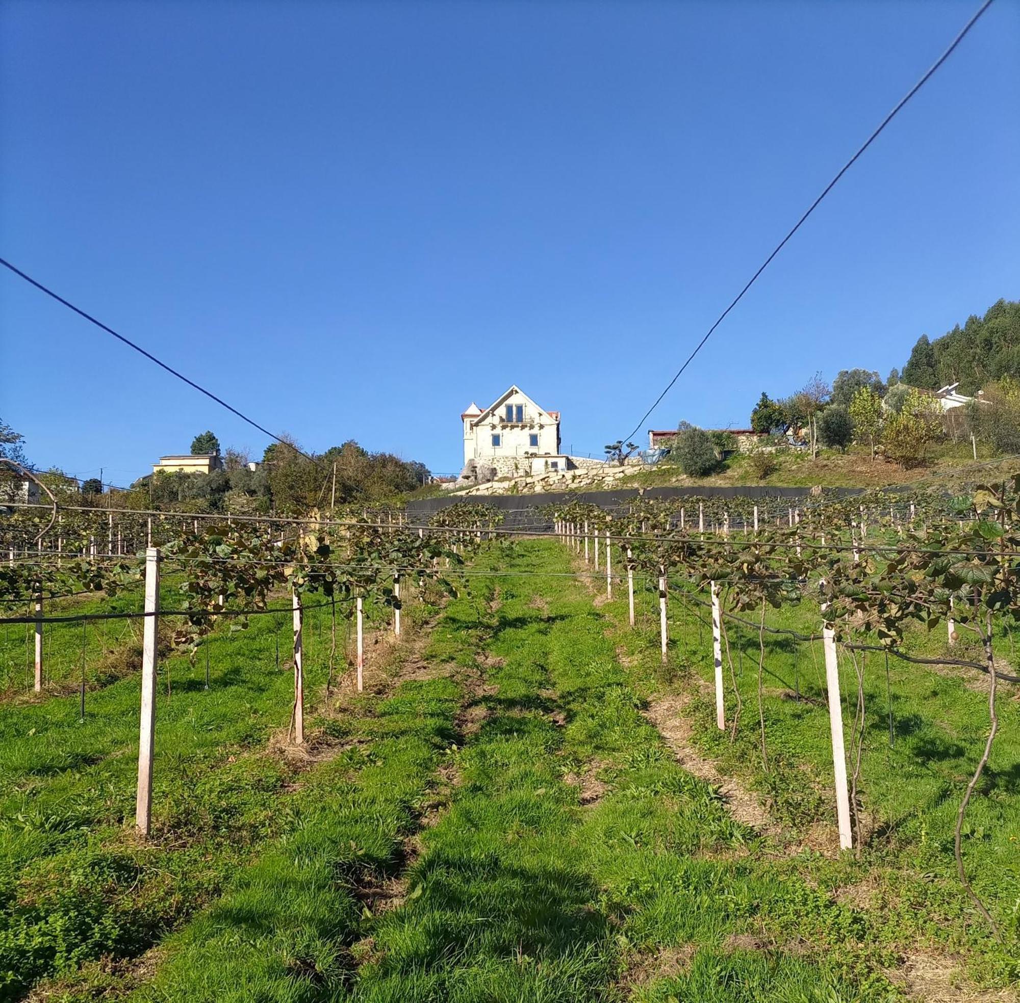 Quinta Do Bairro Holiday home Vieira do Minho