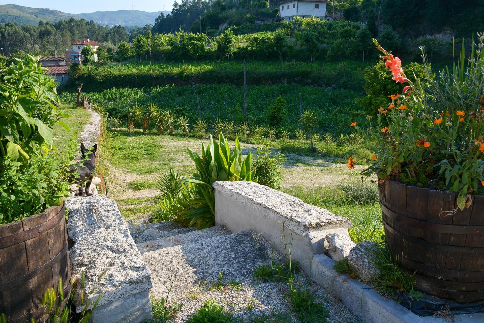 Quinta Do Bairro Holiday home Vieira do Minho